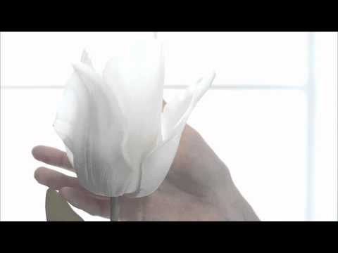 [HD] [100830] TRAX - Oh! My Goddess feat. Seohyun (MV Teaser)