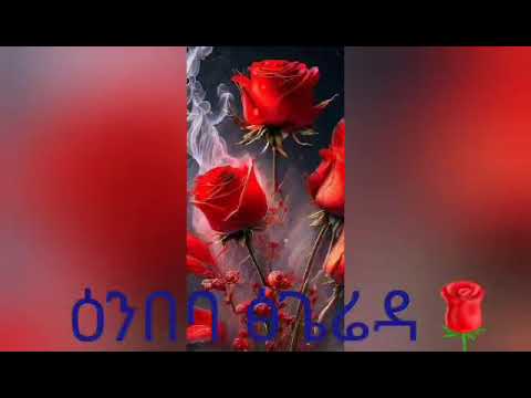 #ዕንበባ ፅጌሬዳ 🌹🥀 ብገጣሚ #ፍፁም ♥️#ሸር #ላይክ #ሳብስክራይብ ♥️🌹