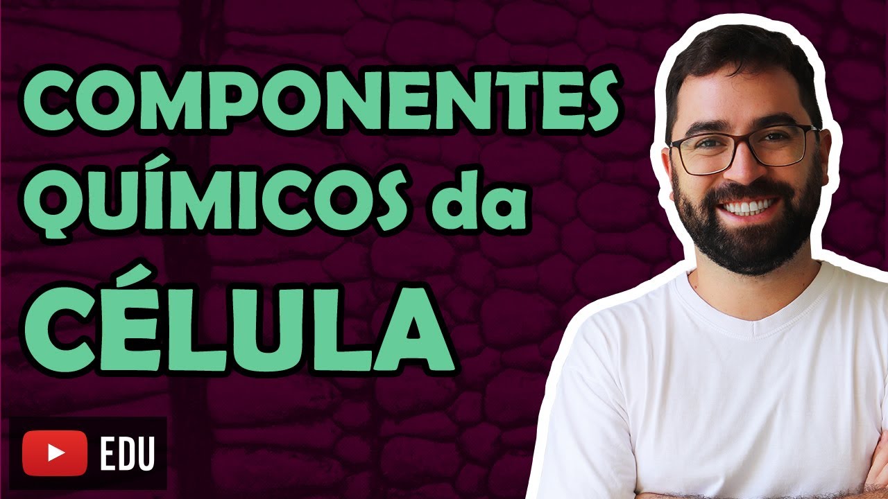 Componentes Químicos da Célula (Bioquímica) - LINK PARA A AULA NOVA NA DESCRIÇÃO