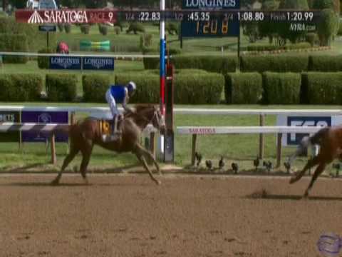 2016 Priority One Jets Forego Stakes - A. P. Indian