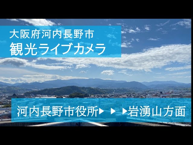 Live webcam view of City Hall View Toward Mount Iwawaki