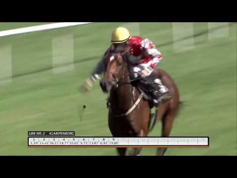 2017.09.03 Dansk Kriterium - King David