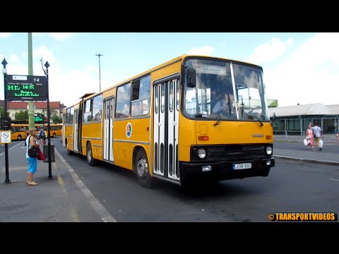2016.07.21. - Buszok a miskolci autóbusz-állomáson