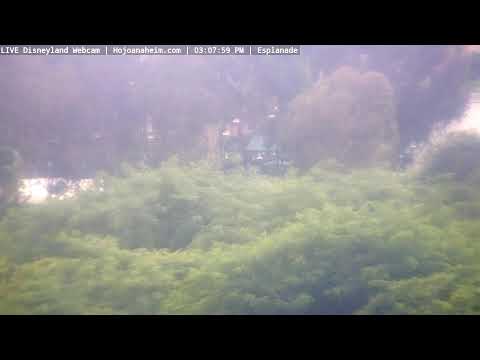 Live webcam of Disneyland Cam