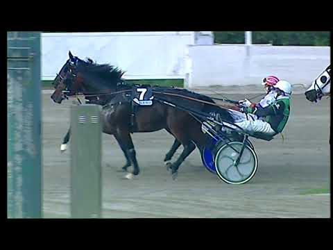 Napoli Trotto 12/11/2021 - 4ª corsa