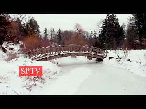 SPTV - CHANNEL VIDEO, 18th JUNE 2020