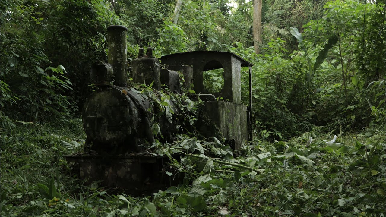 Tierra Adentro – trailer | IFFR 2020