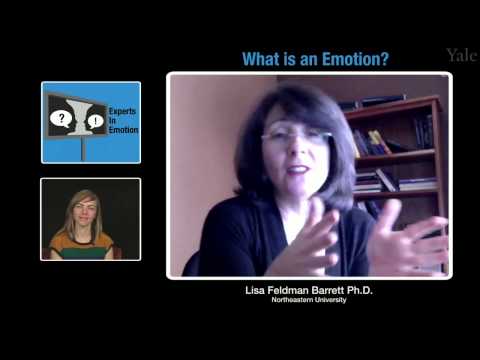 Experts in Emotion: Lisa Feldman Barrett on What is an Emotion