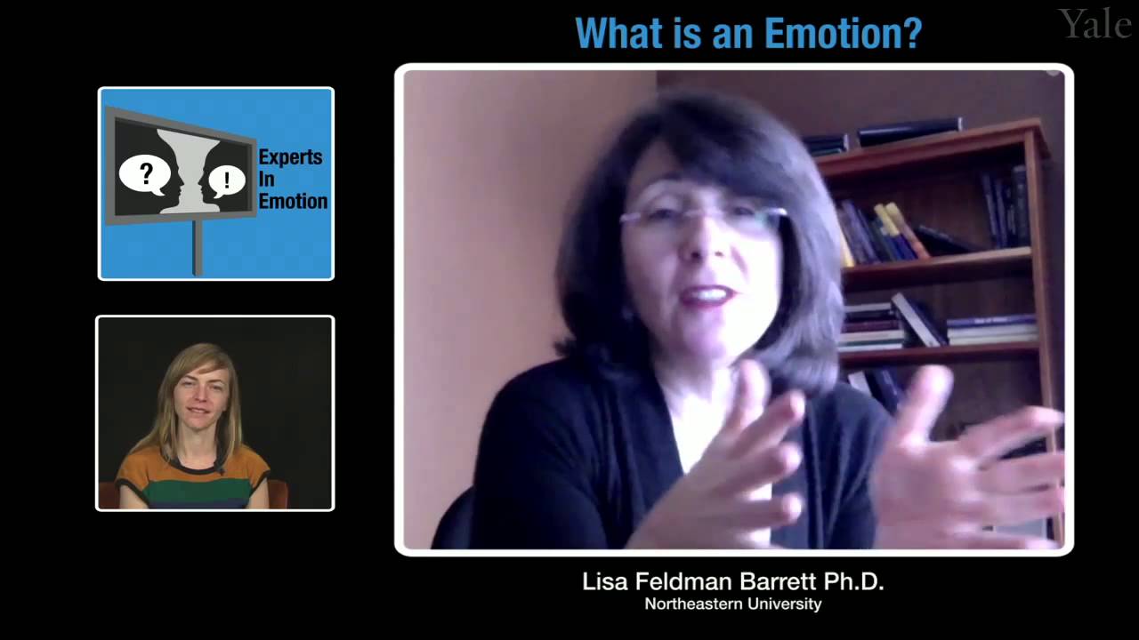 Experts in Emotion: Lisa Feldman Barrett on What is an Emotion