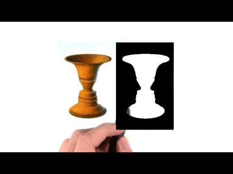 What is Data Visualization Data Visualization and D3 js