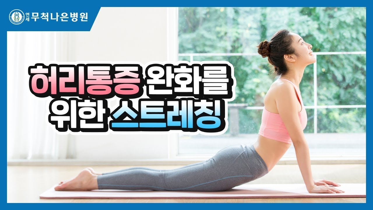 허리아플때 좋은 운동 스트레칭, 효과 만점!