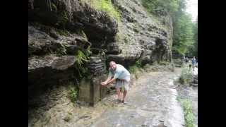 preview picture of video 'Marina and Engene at Watkins Glen State Park, New York, July 4, 2013'