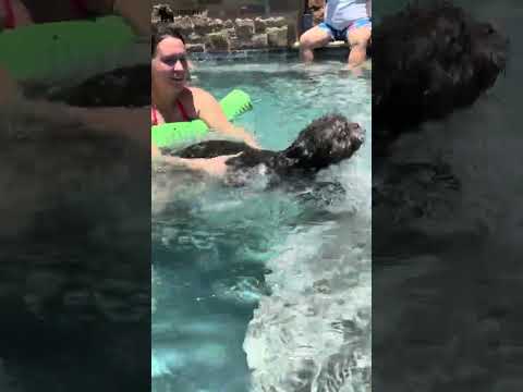 Video 1