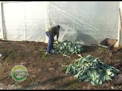 05 Zeleni prsten   Barajevo