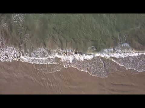 Susanna Roncallo - Destare (Album: Tracciato, 2020)