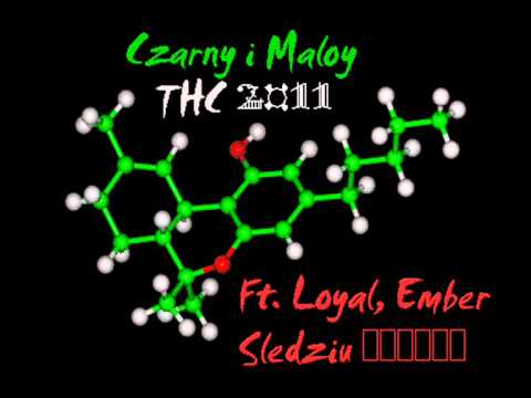 06. THC (Czarny, Maloy, Loyal, Ember, Sledziu)