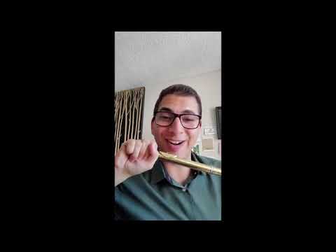 Flute Instruction 2: Posture and Technique