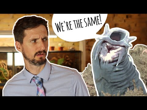 "You're Basically The Hagfish of Reptiles"