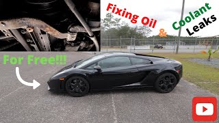 Lamborghini Gallardo Common oil and coolant leak Fix For Free!!!
