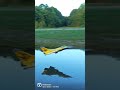 Watery High Alpha Rcplane Shorts Aviation