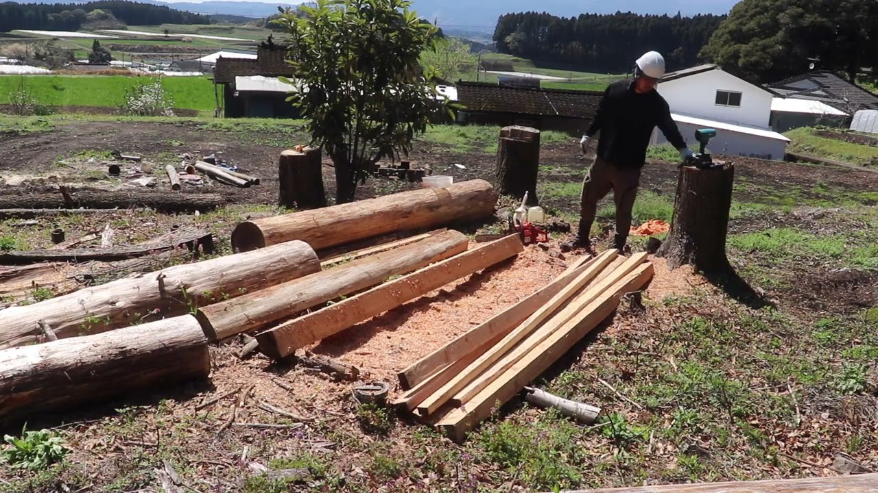 ひたすら杉の木をチェンソーで切り角材を作っていく