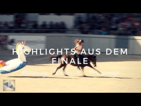 Highlights aus dem Finale | Mustang Makeover Germany mit Luuk Teunissen