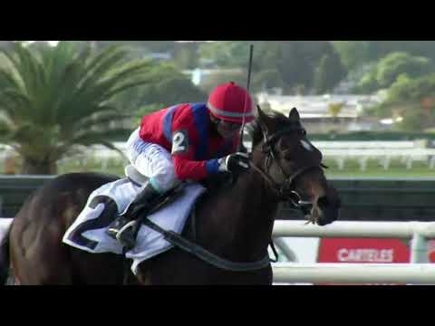 230401 c06 MARADONIANO