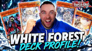 Warum spielt DAS nicht jeder?! Deck Profile + Combo