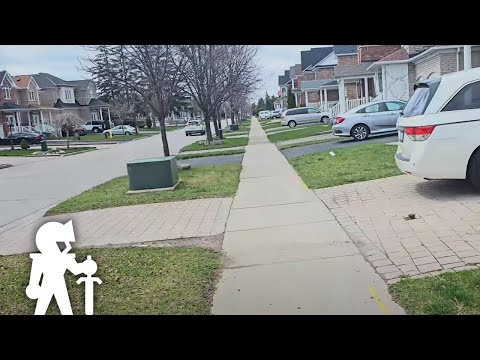 video screenshot video screenshot