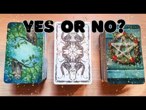 ✨ Yes Or No? 🤔 Pick A Card Tarot Reading ✨✨