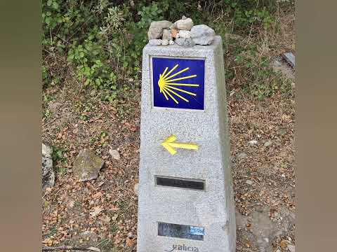 Day 41 - Camino de Santiago - Barbadelo to Ferreiros - 11km (+lunch k's 😉)