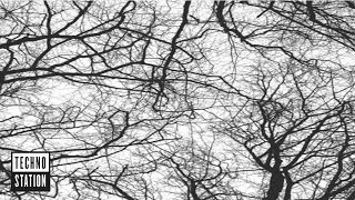 Sebastian Mullaert - You’re An Orchestra In The Cosmos (Joris Voorn remix)