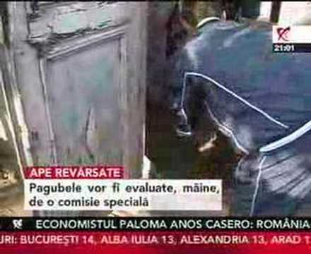 Podul din Topliceni rupt de ape