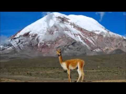 Los 4 del Altiplano - La Vuelta del Chagra