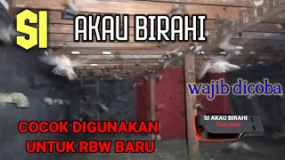 Download lagu Suara Inap Akau Birahi cocok buat RBW Baru Wajib coba mp3