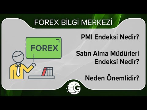 PMI Nedir? PMI Endeksi Nedir?  Neden Önemlidir? 