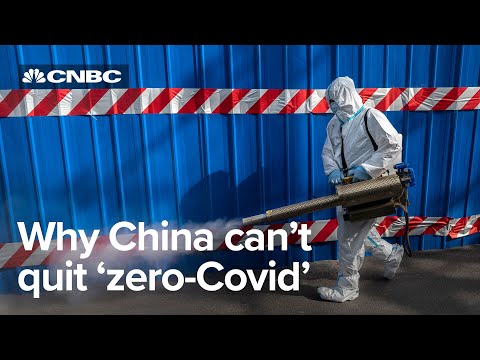 中國為何不在其零科維德戰略上退縮 (Why China isn't backing down on its zero-Covid strategy)
