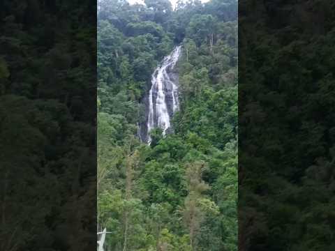 Bela cachoeira /Santa Catarina/Rio Fortuna#shorts