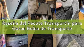 Reseña del Pecute Transportín para Gatos Bolsa de Transporte Portátil para Perros Carga Máxima 8 kg,