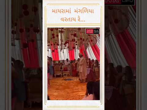 #majaniwedding #malharthakar #malharpuja #wedding #NR24