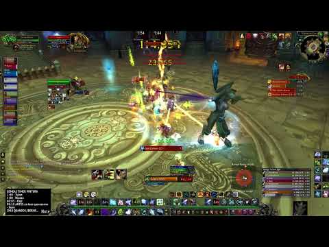 Twin Consorts 10 Heroic - Throne of Thunder - Survival Hunter POV