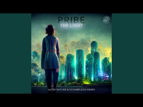 The Light (Alter Nature & Schameleon Remix)