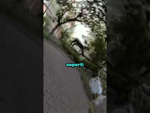 Menguji Stabilisasi Kamera Samsung S26 Ultra!🤯