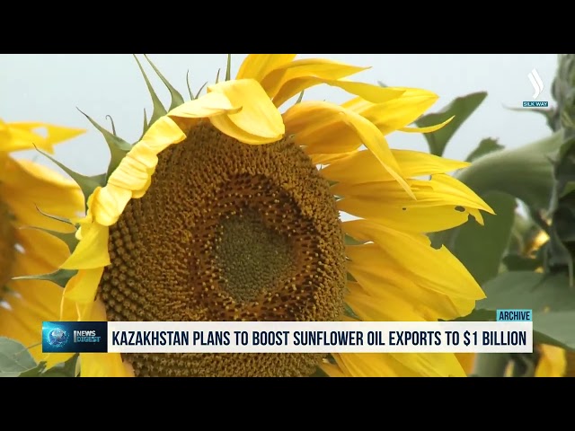 Kazakistan, yağ ihracatını 1 milyar dolara çıkarmayı hedefliyor