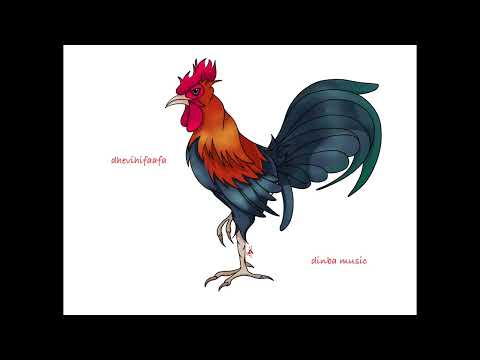 Dhevihifaafa - dinba music ( Full Album )