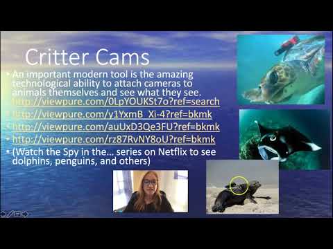 YouTube video about Main Differences Between Oceanography and Marine Biology