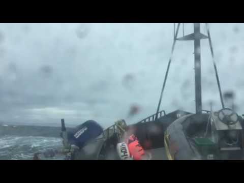 Shelikof Strait Stirs It Up