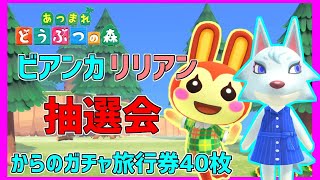 [あつ森]ビアンカ、リリアン抽選会！そのあと40枚でちゃちゃまる！