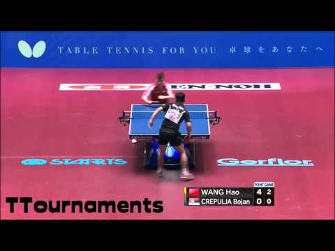 Wang Hao Vs Bojan Crepulja:Team Group: WTTTC 2014