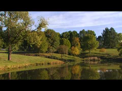 Whispering Waters Resort